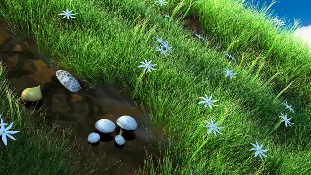 LuLaj.TV Warzywa WIP