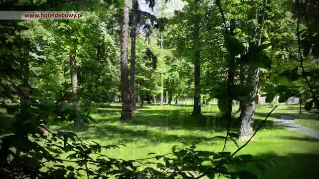 Hotel Dębowy - magiczne miejsce w Górach Sowich