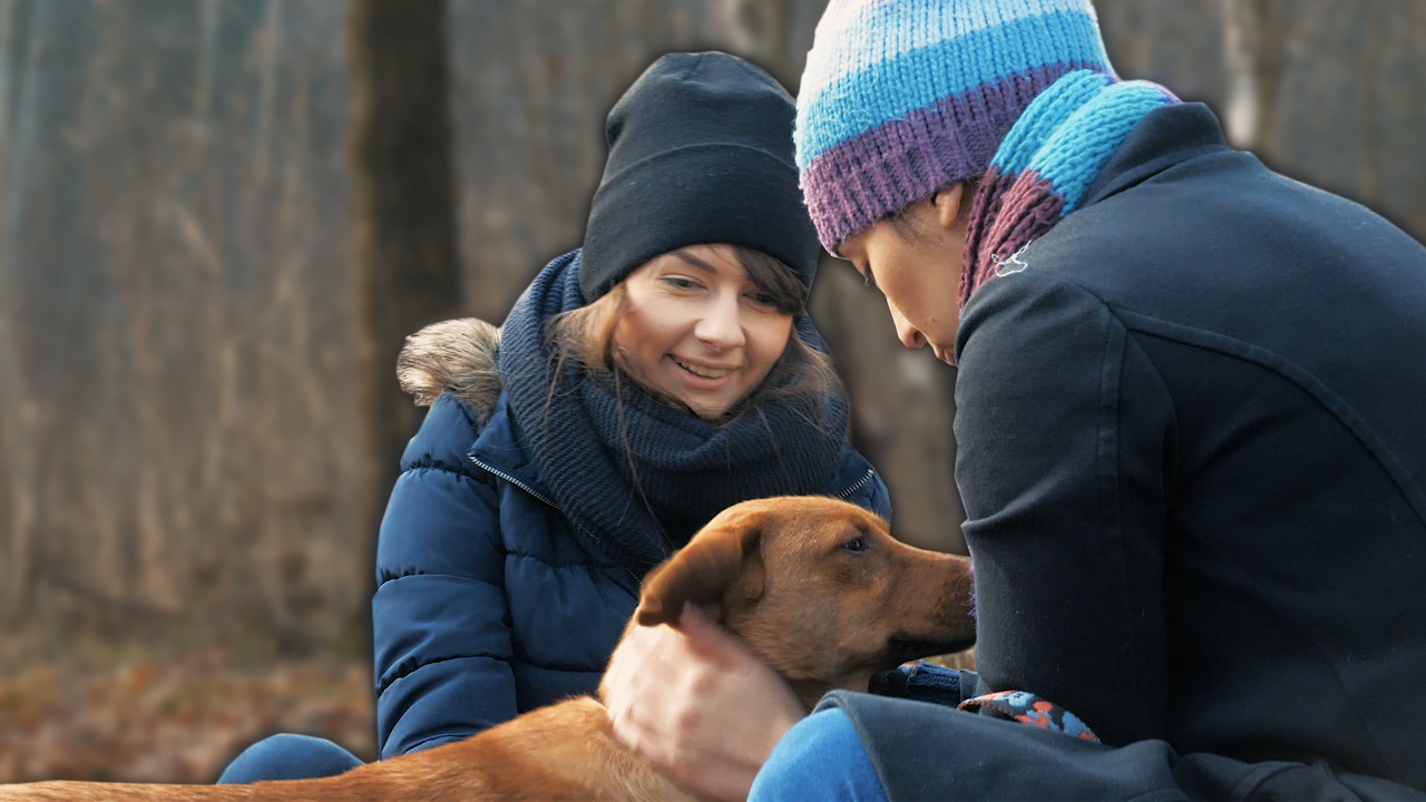 Pomoc schronisku i Wigilia! | CyrekWeek #7