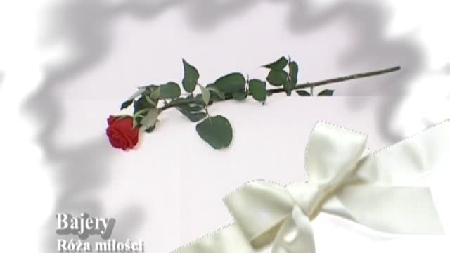 Bajery - Róża miłości