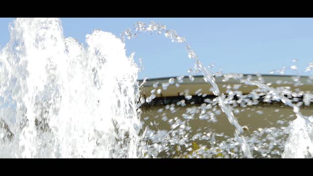 Bożena Mielnik_Przelotny Ptak