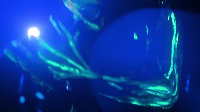 Transgresja - Furia (Official Video)