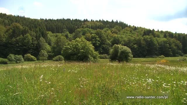 Codzienne kształtowanie życia. Część 05