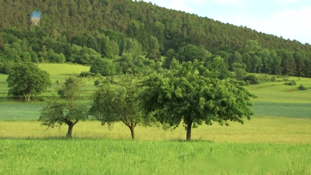 Codzienne kształtowanie życia. Część 11