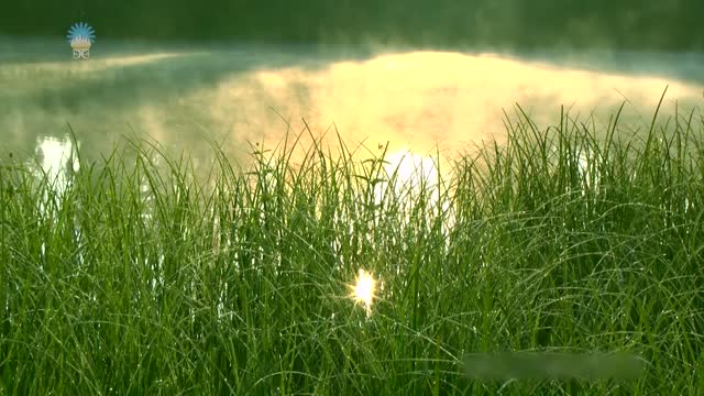Codzienne kształtowanie życia. Część 14