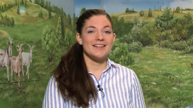 LIOBANI Wachania nastrojów.