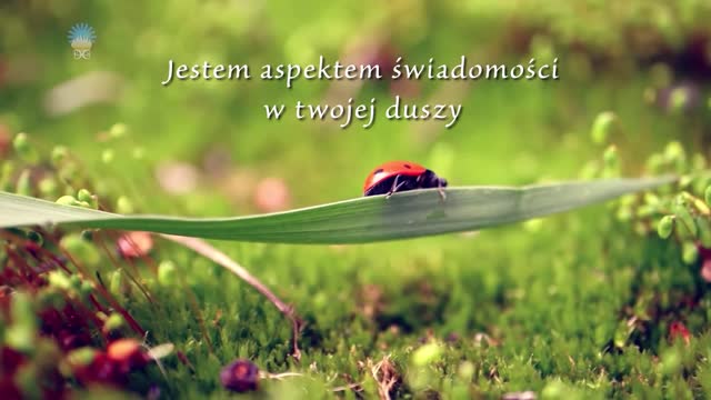 Żyj ze mną. Część 01