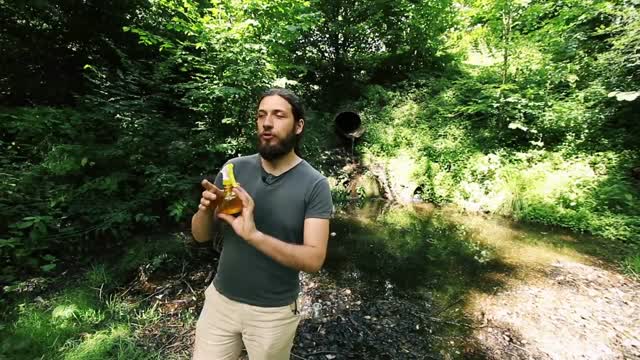 Skuteczny sposób na komary i kleszcze dla Ciebie i Twojego psa