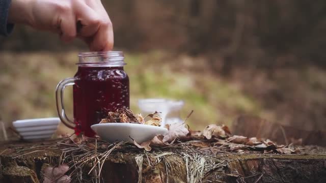 Kwiat hibiskusa: rodzaje, parzenie, historia. Herbata z hibiskusa? 