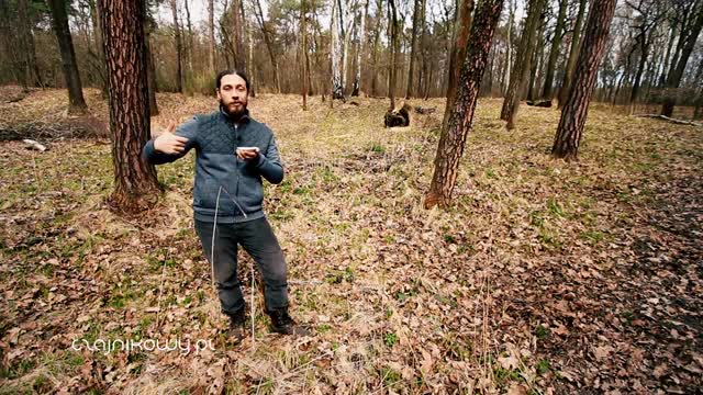 Herbata japońska zielona Kokeicha, parzenie. Jak jest produkowana?
