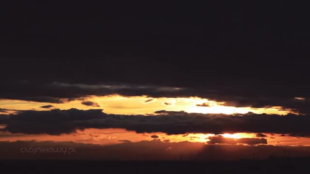 Jak zrobić latte art Rozeta na kawie?