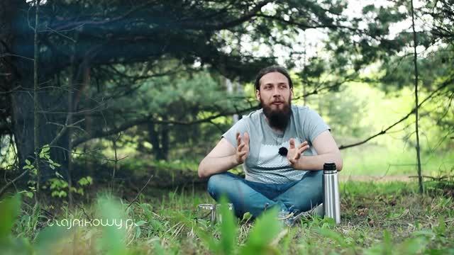 Shou Mei - biała herbata