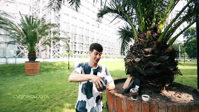 6 sposobów na przechowywanie kawy - test